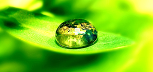 cetesb licenciamento