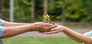 empresa de Consultoria Ambiental 2