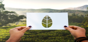 empresa de Consultoria Ambiental 5