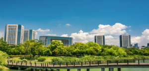 consultor ambiental 1