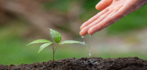 consultor ambiental 2